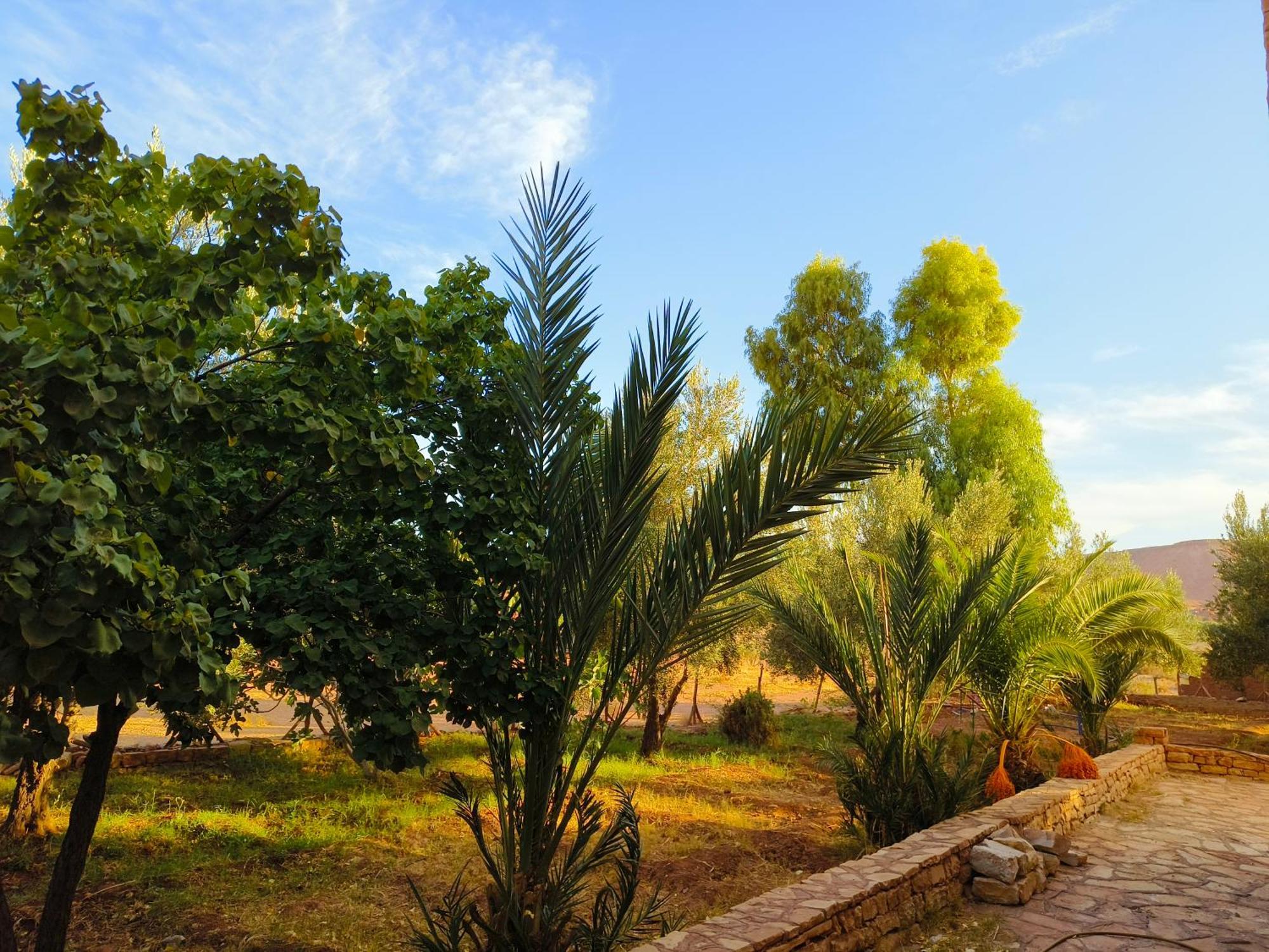 Kasbah Imini Restaurant & Hotel Amerzgane Экстерьер фото